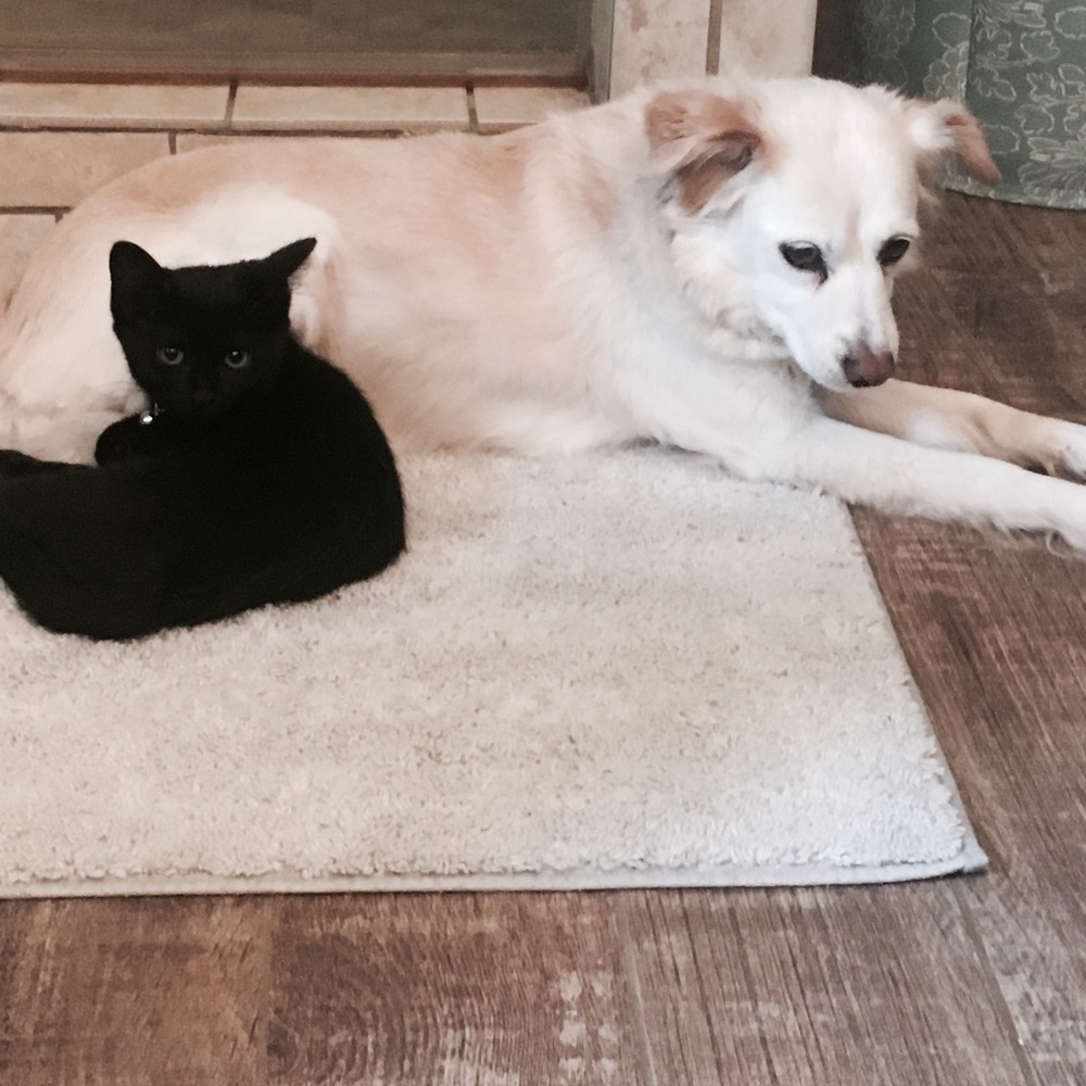 Meet your Posher, Laura